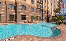 Staybridge Suites Orlando At Seaworld By Ihg - Free Breakfast & Shuttle To Seaworld Parks